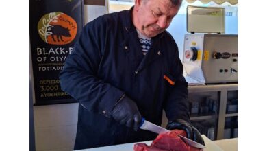 "Meat me" στου Αντώνη - Δάσος Χαϊδαρίου. Τι είδαμε, τι μάθαμε 57