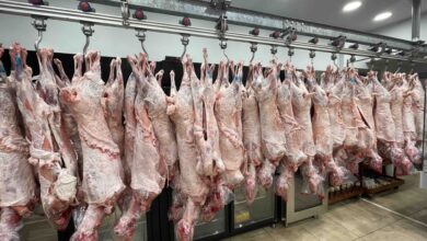 Κρεοπωλείο Μαρούγκας: Αρνάκι και Κατσικάκι με σφραγίδα παράδοσης και ποιότητας 12