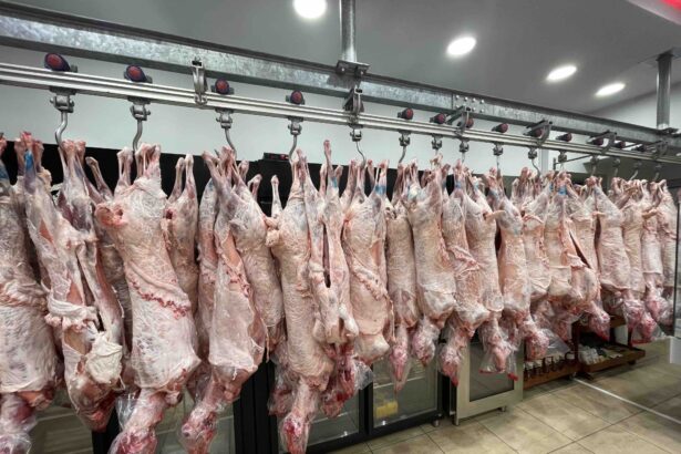 Κρεοπωλείο Μαρούγκας: Αρνάκι και κατσικάκι με σφραγίδα καταγωγής 49