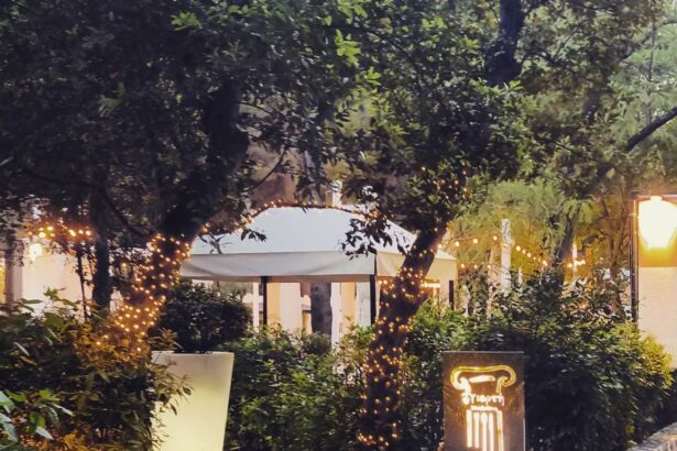 Στον κήπο της "Γιορτής", ποικιλία σχάρας δύο ατόμων & μια φιάλη κρασί! - Λεπτομέρειες & τιμή 23