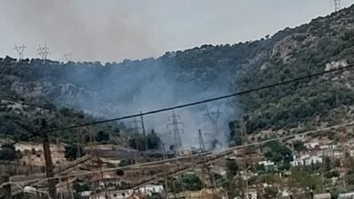 Η Πυροσβεστική αποδίδει στον 33χονο Τούρκο διαδοχικούς εκ προθέσεως εμπρησμούς στους πρόποδες του Ποικίλου 31