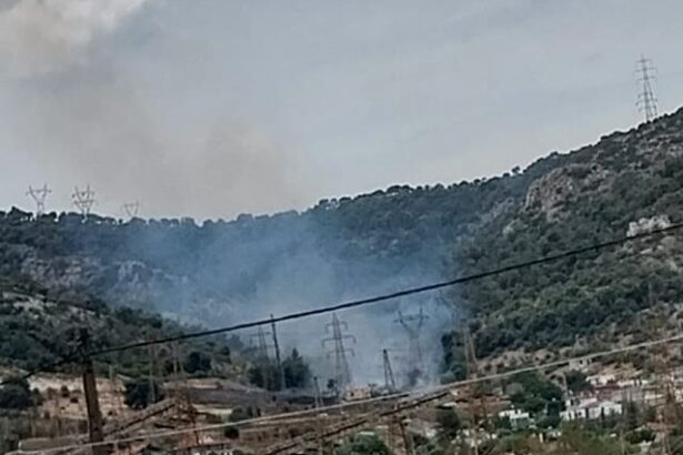 Η Πυροσβεστική αποδίδει στον 33χονο Τούρκο διαδοχικούς εκ προθέσεως εμπρησμούς στους πρόποδες του Ποικίλου 35
