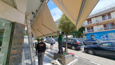 Επιστροφή γνωστής φίρμας στο Δάσος Χαϊδαρίου 31