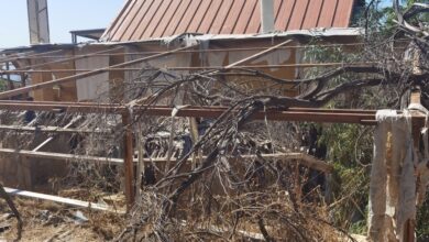 Θεαθήναι: Επέμβαση σε μια άθλια πυριτιδαποθήκη στα πόδια του βουνού, ενώ ο ιδιοκτήτης του χώρου "κάνει την πάπια"! 28