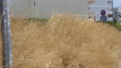 Καθαρισμός οικοπέδων: Άνοιξε στο gov.gr η πλατφόρμα για τις δηλώσεις - Οι υπόχρεοι και τα πρόστιμα - Δυνατότητα και για καταγγελίες 13