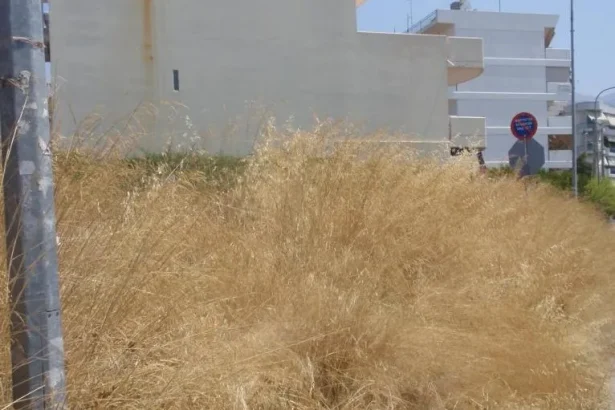 Καθαρισμός οικοπέδων: Άνοιξε στο gov.gr η πλατφόρμα για τις δηλώσεις - Οι υπόχρεοι και τα πρόστιμα - Δυνατότητα και για καταγγελίες 31