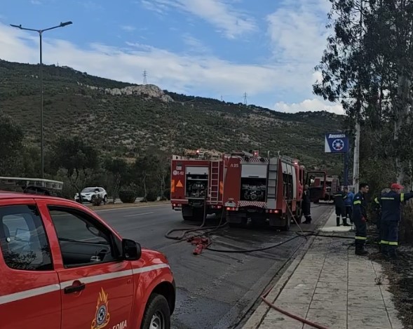 Αυτή την ώρα: Φωτιά στη Λεωφόρο Σχιστού - Βίντεο 2 Αυτή την ώρα: Φωτιά στη Λεωφόρο Σχιστού - Βίντεο 1