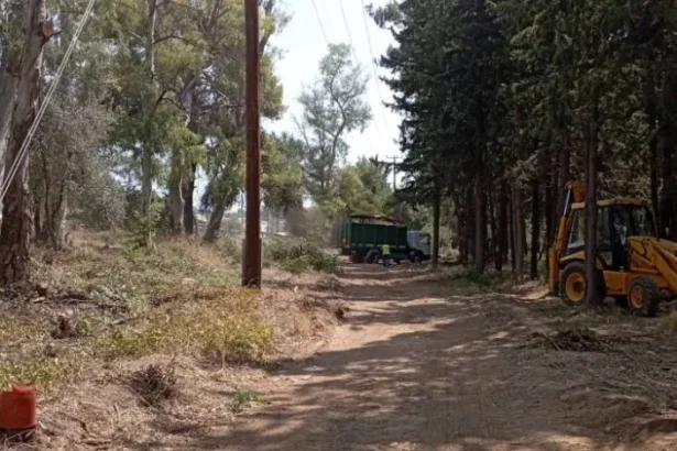 Αντιπυρικές ζώνες