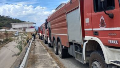 Προφυλακιστέος άνδρας για πυρκαγιές στη Μαγούλα, από πρόθεση και κατ΄ εξακολούθηση 3