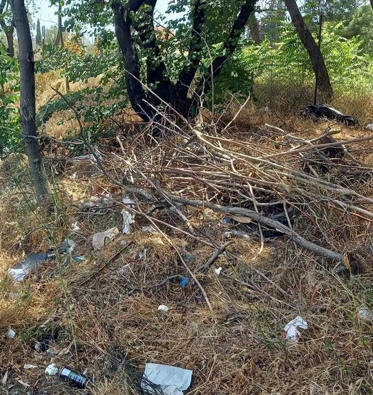 Εργασίες στο δάσος, όπως λάχει... 3