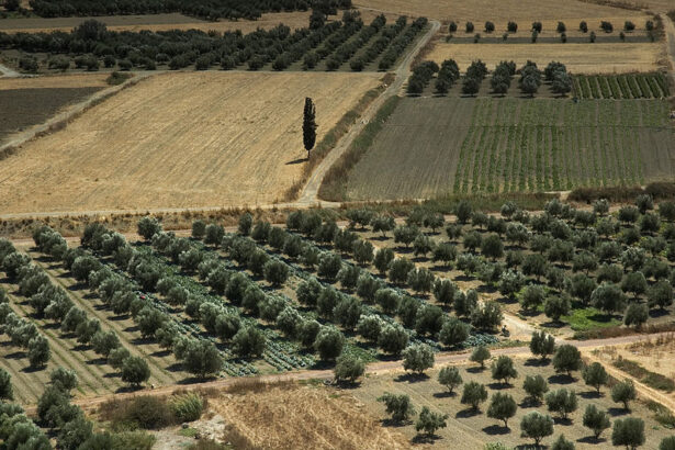 Ενόσω η Ελλάδα "ζει το μύθο της", η Τουρκία εξελίσσεται σε παγκόσμια αγροτική υπερδύναμη 35