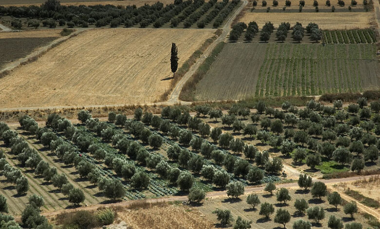 Ενόσω η Ελλάδα της υπαίθρου παραπαίει, η Τουρκία εξελίσσεται σε παγκόσμια αγροτική υπερδύναμη 2 Ενόσω η Ελλάδα της υπαίθρου παραπαίει, η Τουρκία εξελίσσεται σε παγκόσμια αγροτική υπερδύναμη 1