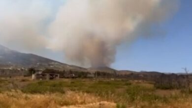 Φωτιά στην Πάρνηθα: Καταγγελία ότι ξεκίνησε από έκρηξη σε πυλώνα υψηλής τάσης - Τι λέει ο ΑΔΜΗΕ 26