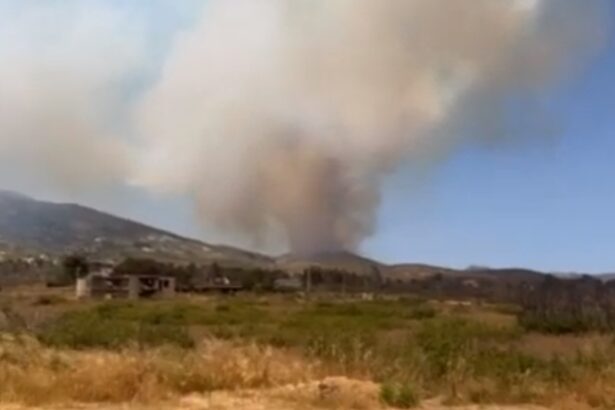 Φωτιά στην Πάρνηθα: Καταγγελία ότι ξεκίνησε από έκρηξη σε πυλώνα υψηλής τάσης - Τι λέει ο ΑΔΜΗΕ 41