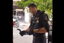 Περιστέρι: Αστυνομικοί έσωσαν ερπετό και το ελευθέρωσαν στο Ποικίλο - Βίντεο 30