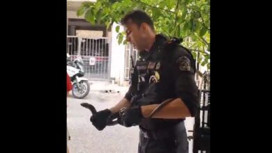 Περιστέρι: Αστυνομικοί έσωσαν ερπετό και το ελευθέρωσαν στο Ποικίλο - Βίντεο 48