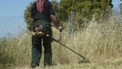 Ακαθάριστα οικόπεδα: Ποιοι έχουν υποχρέωση να κάνουν δήλωση και ποιοι εξαιρούνται 36