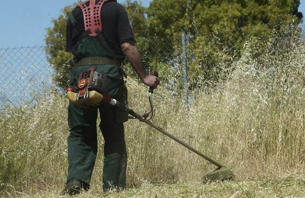 Ακαθάριστα οικόπεδα: Ποιοι έχουν υποχρέωση να κάνουν δήλωση και ποιοι εξαιρούνται 53