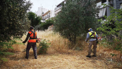 Δήμος Χαϊδαρίου - Καθαρισμός οικοπέδων: Οι υπόχρεοι, οι απαιτούμενες εργασίες και οι ποινές 53