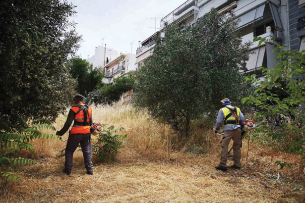 Δήμος Χαϊδαρίου - Καθαρισμός οικοπέδων: Οι υπόχρεοι, οι απαιτούμενες εργασίες και οι ποινές 27