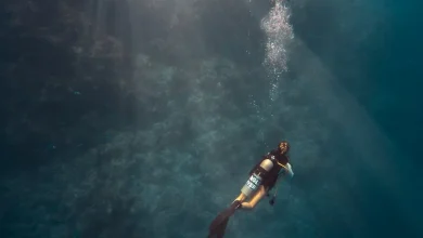 Εγκρίθηκε καταδυτικό πάρκο στην Πάχη Μεγάρων – Θα βυθιστούν αεροπλάνο, πλοίο και αγάλματα 82