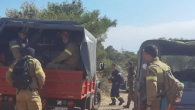 Πυρκαγιά στα Νεόκτιστα, στη ρίζα του βουνού 26