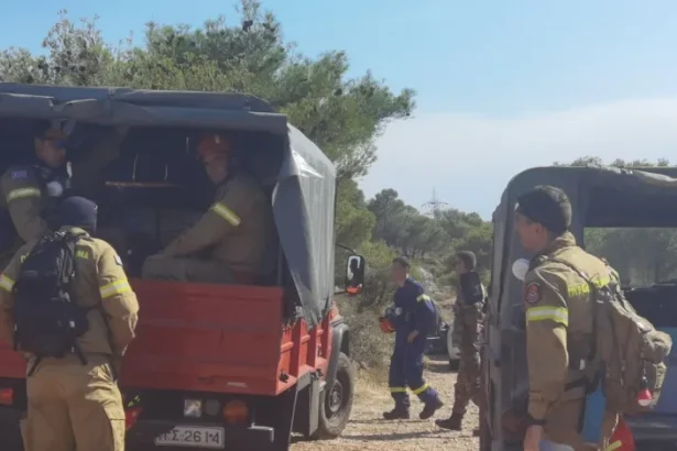 Πυρκαγιά στα Νεόκτιστα, στη ρίζα του βουνού 45