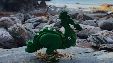 Lego ξεβράζονται στις παραλίες της Κορνουάλης εδώ και 27 χρόνια 23