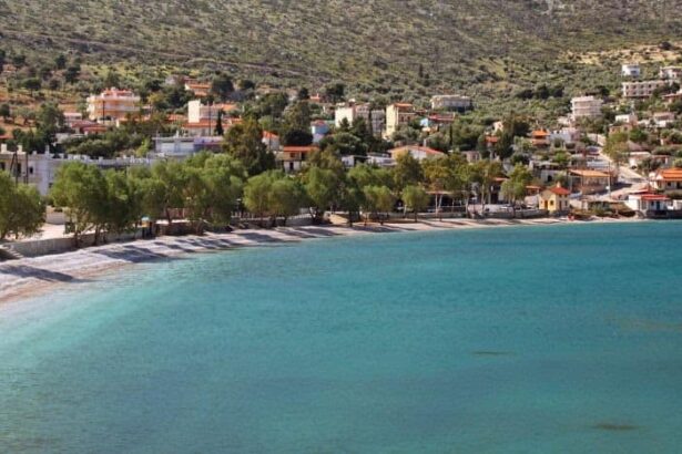 6 κρυστάλλινες παραλίες της Βοιωτίας - Βουτιές και καλό φαγητό κοντά στην Αθήνα 31