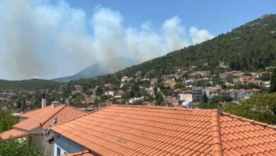 Πυρκαγιά στον Κιθαιρώνα, ανάμεσα Βίλια και Ερυθρές - Εκκενώθηκε κατασκήνωση 17