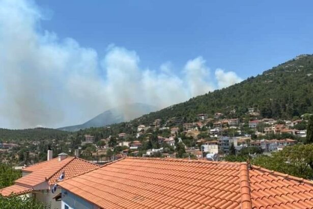 Πυρκαγιά στον Κιθαιρώνα, ανάμεσα Βίλια και Ερυθρές - Εκκενώθηκε κατασκήνωση 39