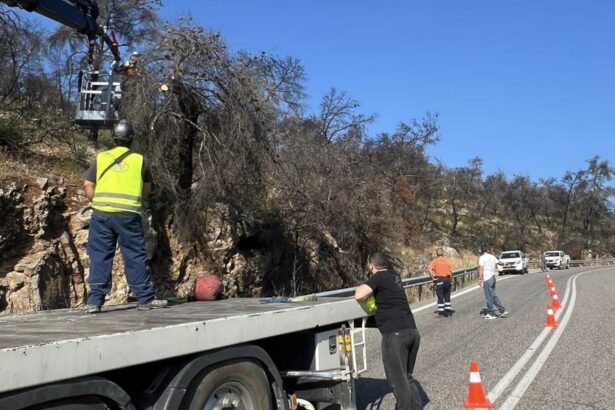 Παρέμβαση στην Παλαιά Εθνική Οδό Αθήνας Θήβας 37
