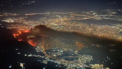 Πάρνηθα: Ειδικοί βλέπουν τεράστιο πρόβλημα στην αναγέννηση του δάσους 21