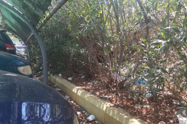 Προς Όμιλο Σκλαβενίτη: Αλλιώς μάς έχετε μάθει... 7