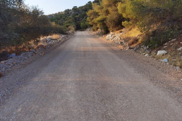 Αποκαταστάθηκε το δασικό οδικό δίκτυο στα βουνά της Δυτικής Αθήνας 31