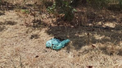 Σε σένα, που πέταξες το σκυλάκι σου στο πάρκο 13