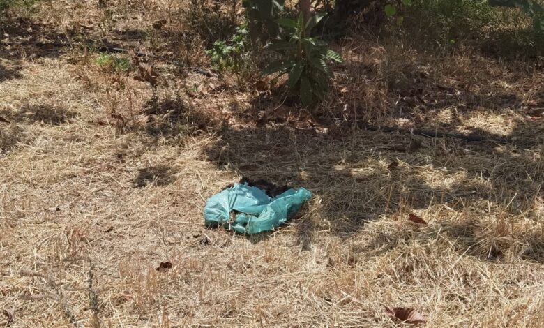 Σε σένα, που πέταξες το σκυλάκι σου στο πάρκο 2 Σε σένα, που πέταξες το σκυλάκι σου στο πάρκο 1