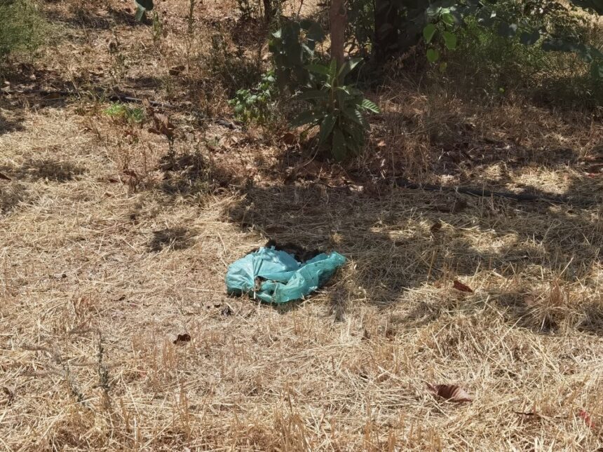 Σε σένα, που πέταξες το σκυλάκι σου στο πάρκο 1