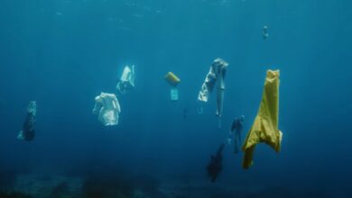 Γιατί το “Ah THALASSA” της Μαρίνας Σάττι δεν είναι ακόμα μία ωραία μπαλάντα 17