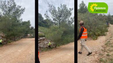 "Καλοστημένη μπίζνα η δημιουργία αντιπυρικών ζωνών στους Δήμους" 93