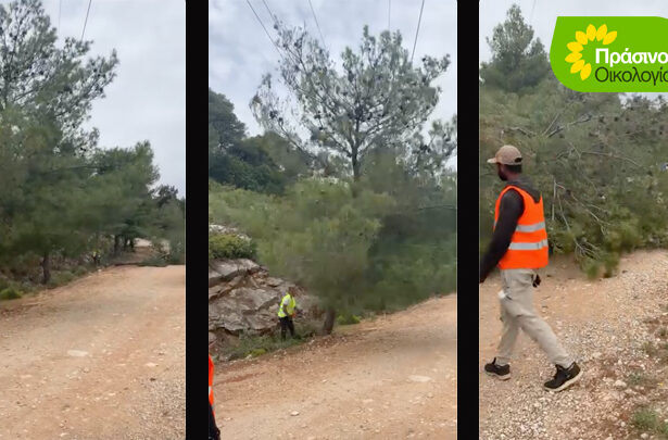 "Καλοστημένη μπίζνα η δημιουργία αντιπυρικών ζωνών στους Δήμους" 51