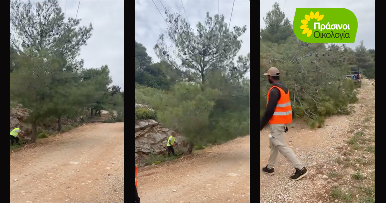 "Καλοστημένη μπίζνα η δημιουργία αντιπυρικών ζωνών στους Δήμους" 2 "Καλοστημένη μπίζνα η δημιουργία αντιπυρικών ζωνών στους Δήμους" 1