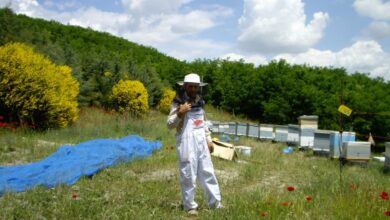 ΔΕΗ: Ιδρυτικό μέλος στην διεθνή πρωτοβουλία "Συμμαχία  για τη Βιώσιμη Διαχείριση της Βιοποικιλότητας" 11
