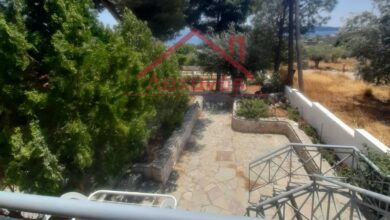 Μεγάλο Πεύκο: Πωλείται οικία με κήπο, 100 μ. από τη θάλασσα 9