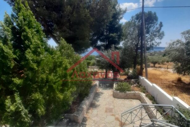 Μεγάλο Πεύκο: Πωλείται οικία με κήπο, 100 μ. από τη θάλασσα 31