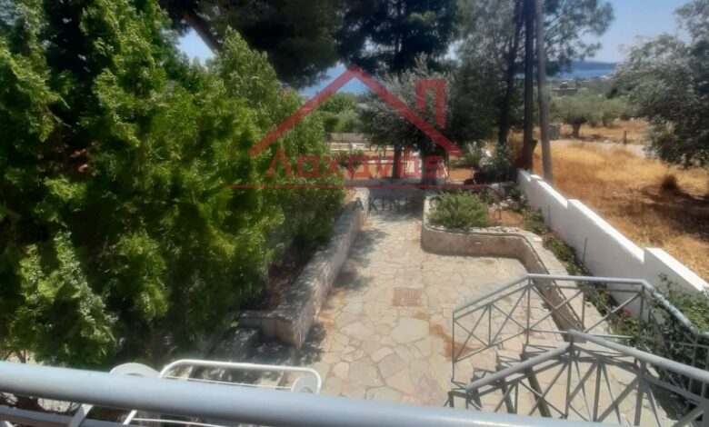 Μεγάλο Πεύκο: Πωλείται οικία με κήπο, 100 μ. από τη θάλασσα 2 Μεγάλο Πεύκο: Πωλείται οικία με κήπο, 100 μ. από τη θάλασσα 1