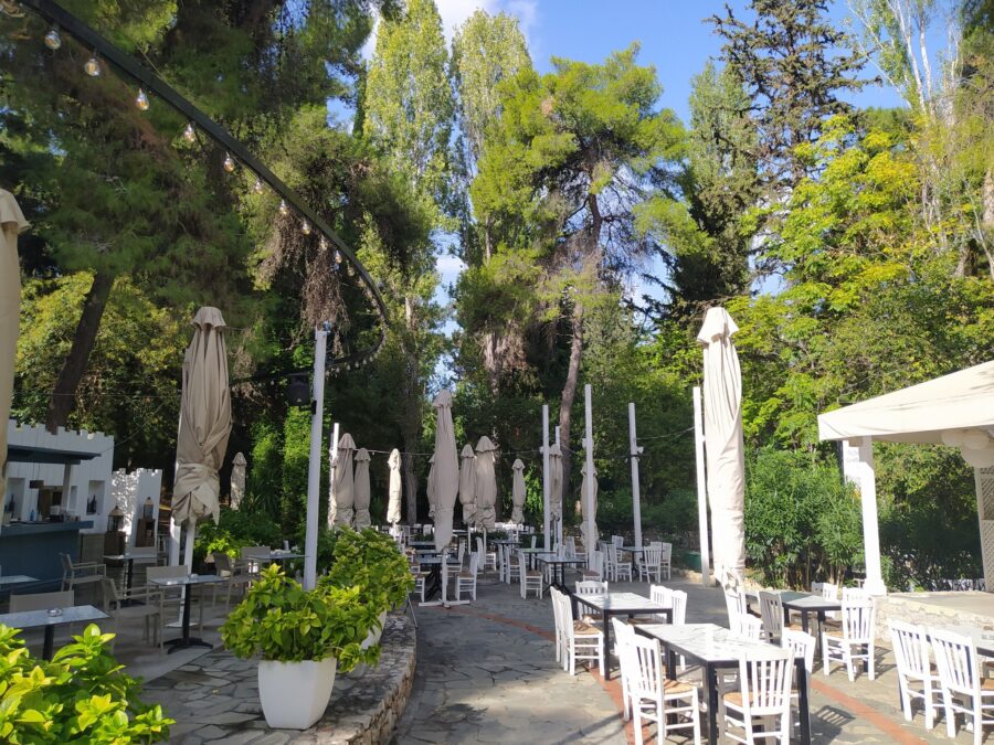 Δεκαπενταύγουστος στον ολόδροσο κήπο της "Γιορτής", με γιορτινό πιάτο ημέρας και άλλα αγαπημένα 16 Δεκαπενταύγουστος στον ολόδροσο κήπο της "Γιορτής", με γιορτινό πιάτο ημέρας και άλλα αγαπημένα 15