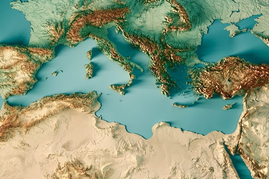 Ένα ταξίδι στο χρόνο για τα δάση της Μεσογείου και την ιστορία του πεύκου 4 Ένα ταξίδι στο χρόνο για τα δάση της Μεσογείου και την ιστορία του πεύκου 3