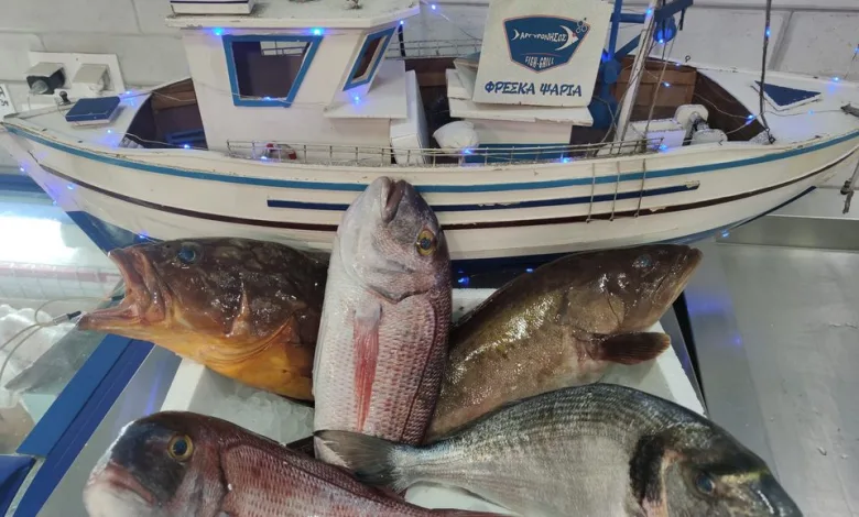 Ψάρι Ψητό Αργυρόνησος για τις 6 Αυγούστου! 4 Ψάρι Ψητό Αργυρόνησος για τις 6 Αυγούστου! 3