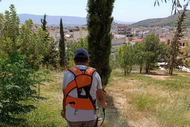 Χαϊδάρι: Καλοκαιρινή φροντίδα του Πάρκου Εθελοντισμού, από τη We4All  3
